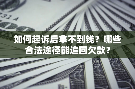 武汉如何起诉后拿不到钱？哪些合法途径能追回欠款？