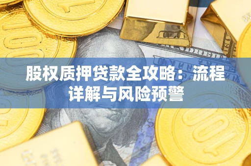 武汉股权质押贷款全攻略：流程详解与风险预警