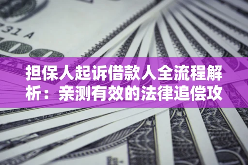 武汉担保人起诉借款人全流程解析：亲测有效的法律追偿攻略
