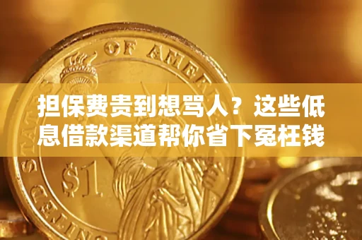 武汉担保费贵到想骂人？这些低息借款渠道帮你省下冤枉钱