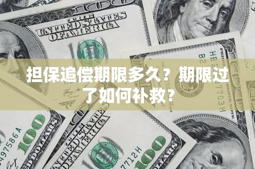 武汉担保追偿期限多久？期限过了如何补救？