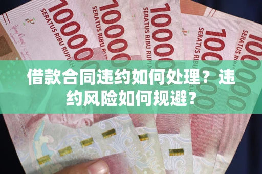 武汉借款合同违约如何处理？违约风险如何规避？