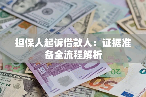 武汉担保人起诉借款人：证据准备全流程解析