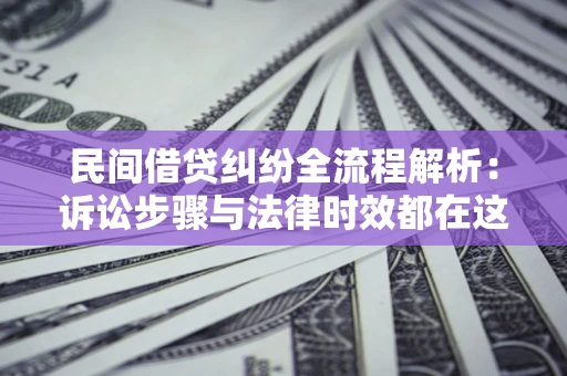 武汉民间借贷纠纷全流程解析：诉讼步骤与法律时效都在这儿了
