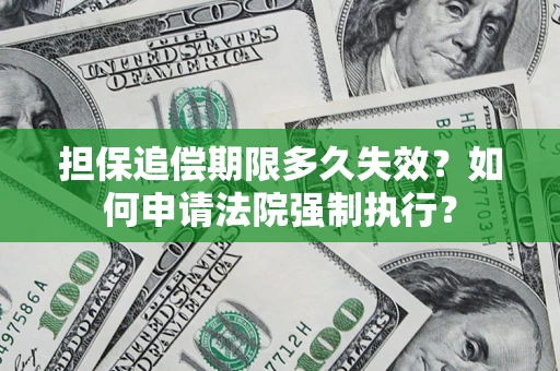 武汉担保追偿期限多久失效？如何申请法院强制执行？
