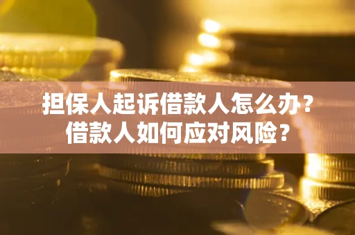 武汉担保人起诉借款人怎么办？借款人如何应对风险？