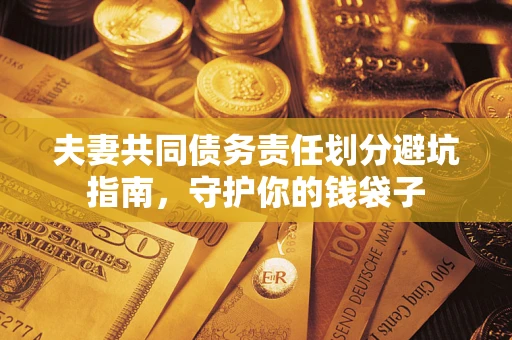 武汉夫妻共同债务责任划分避坑指南，守护你的钱袋子