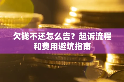 武汉欠钱不还怎么告？起诉流程和费用避坑指南