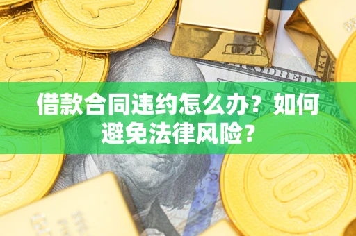 武汉借款合同违约怎么办？如何避免法律风险？