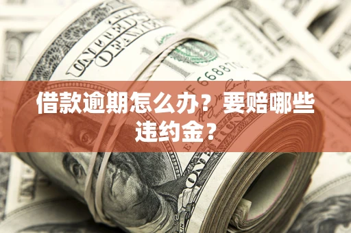 武汉借款逾期怎么办？要赔哪些违约金？