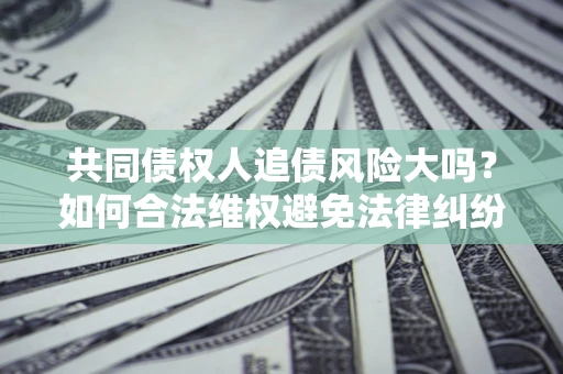 武汉共同债权人追债风险大吗？如何合法维权避免法律纠纷？