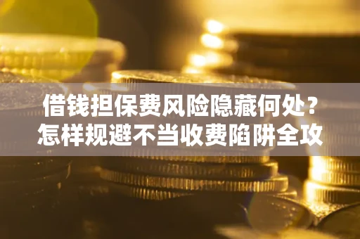 武汉借钱担保费风险隐藏何处？怎样规避不当收费陷阱全攻略！