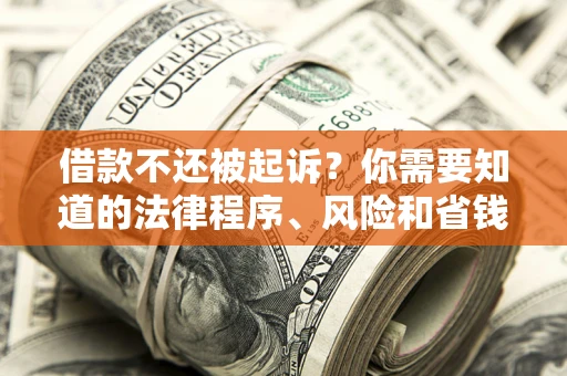 武汉借款不还被起诉？你需要知道的法律程序、风险和省钱技巧
